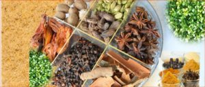 glossary-name Empower Yourself by Knowing Your Ingredients