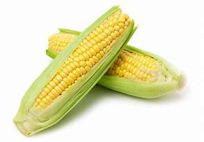Corn On the Cob --- Microwave Method Corn On Cob